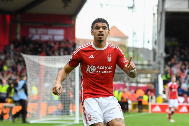 了一个大坑 了一个大坑