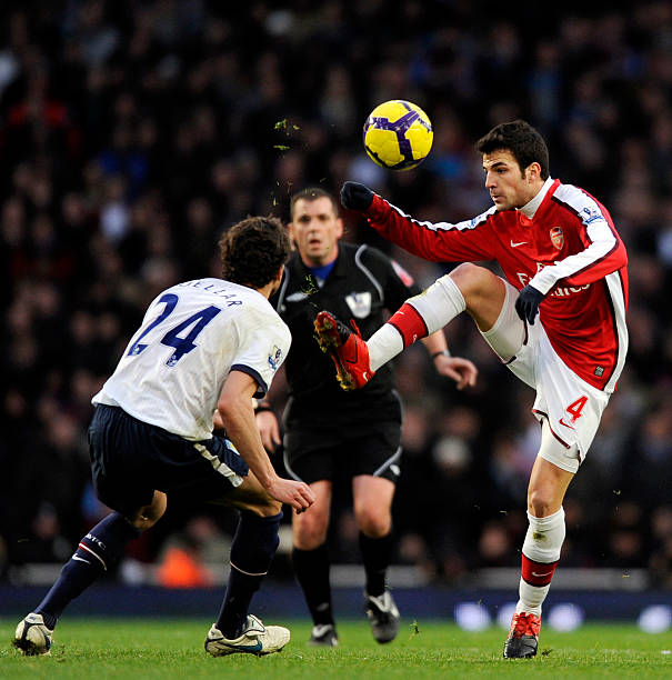 训练初期 训练初期