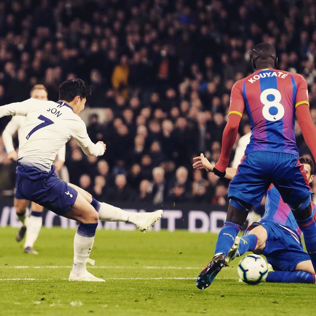 力阵容新鲜 力阵容新鲜